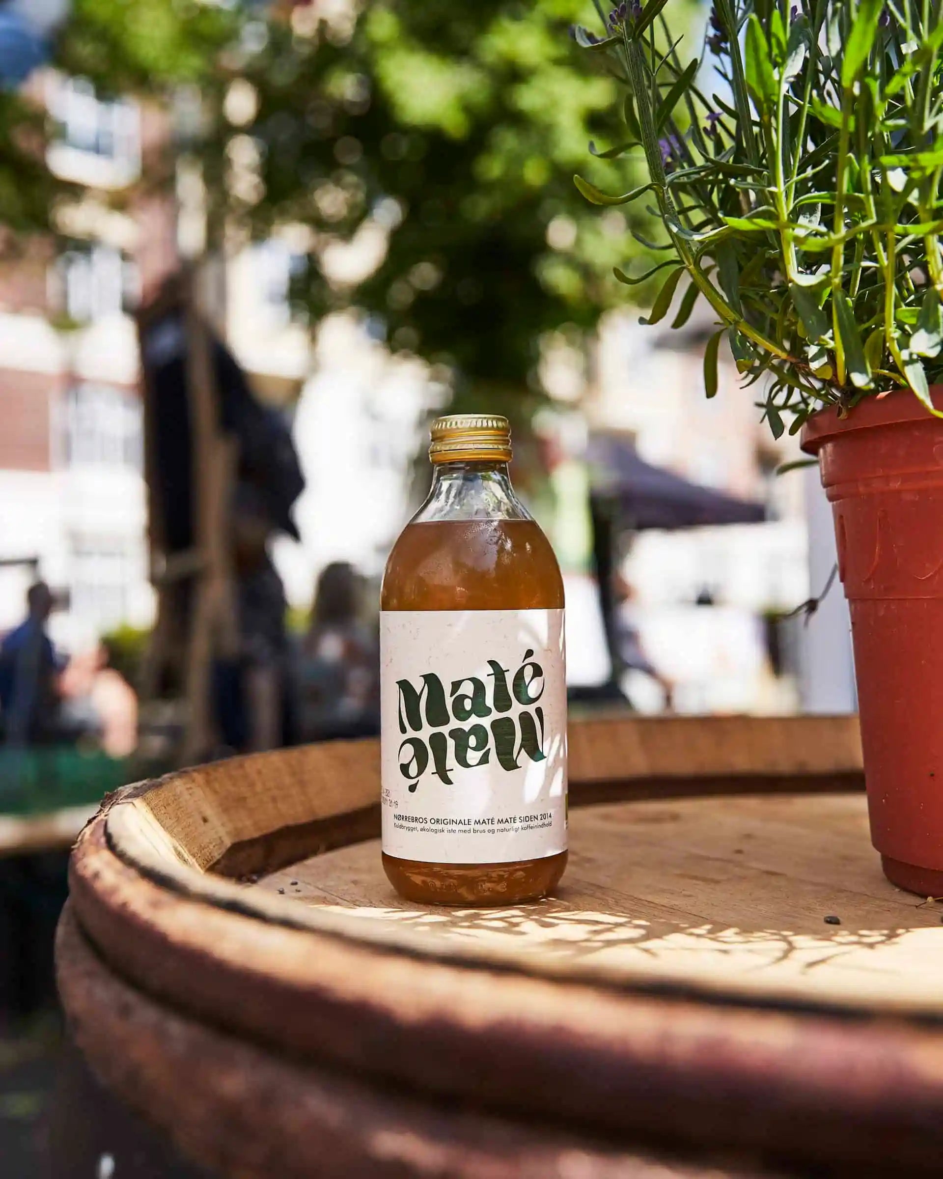 Nørrebrew Brand