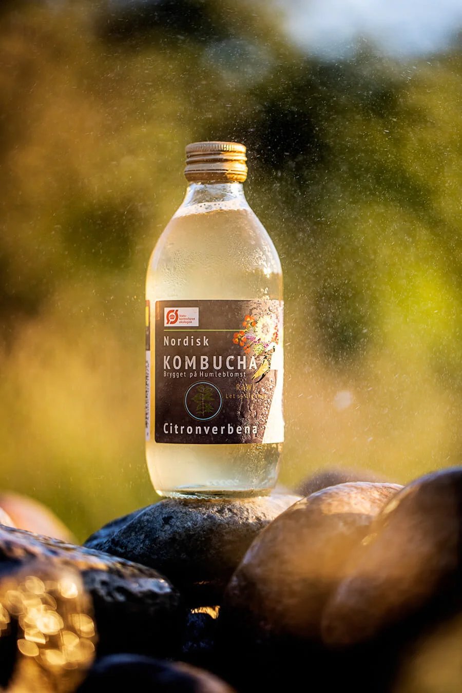 Nordisk Kombucha Brand